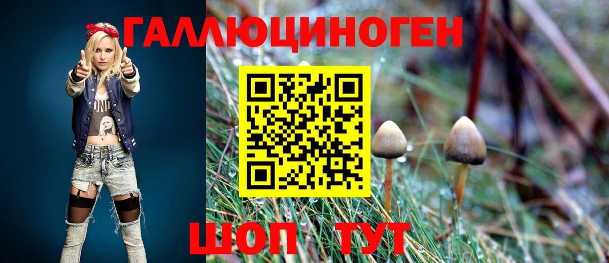 Псилоцибиновые грибы мицелий  Вход с VPN  купить  сайты  Ивантеевка 